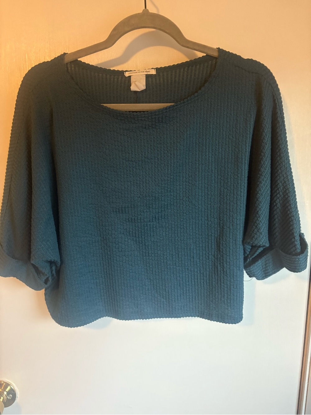Caution to the Wind Crop Top Size Medium